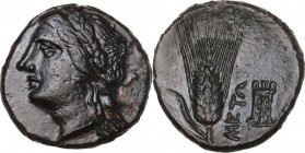 Greek Italy. Southern Lucania, Metapontum. AE 15.5 mm. Circa 300-250 BC. Obv. Laureate head of Apollo left. Rev. META. Ear of barley with leaf to left...
