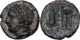 Greek Italy. Southern Lucania, Metapontum. AE 16 mm. Circa 300-250 BC. Obv. Laureate head of Apollo left. Rev. META. Ear of barley with leaf to left; ...