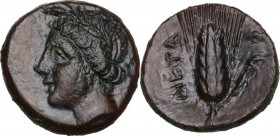 Greek Italy. Southern Lucania, Metapontum. AE 16 mm. Circa 300-250 BC. Obv. Wreathed head of Demeter right. Rev. META. Ear of barley to right; fly abo...