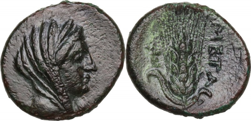 Greek Italy. Southern Lucania, Metapontum. AE 16.5 mm. Circa 300-250 BC. Obv. Ve...