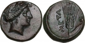 Greek Italy. Southern Lucania, Metapontum. AE 15 mm. Circa 300-250 BC. Obv. Wreathed head of Demeter right. Rev. META. Ear of barley to right; fly abo...