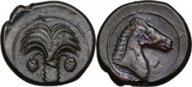 Punic Sardinia. AE 19 mm. Circa 350/40-320/300 BC. Uncertain mint. D/ Palm tree with two clusters of dates and five branches on each side.; above, Pun...