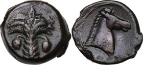 Punic Sardinia. AE 19.5 mm. Circa 330-300 BC. Uncertain mint. D/ Palm tree with two clusters of dates and three branches on each side, one on top. R/ ...