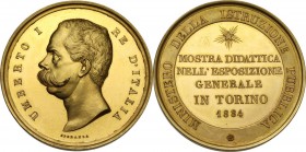 Umberto I (1878-1900). Medaglia 1884 del Ministero dell'Istruzione Pubblica per la Mostra didattica nell'Esposizione Generale di Torino. Casolari, Il ...