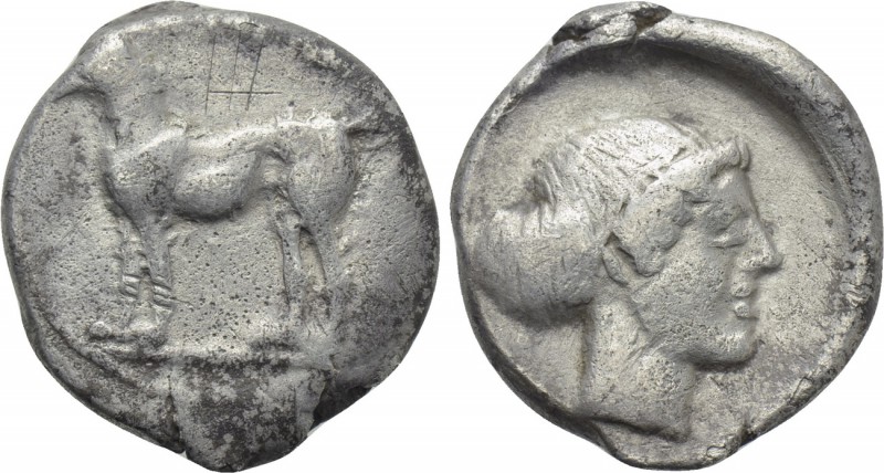 SICILY. Segesta. Didrachm (Circa 440/35-420/16 BC). 

Obv: Hound standing left...