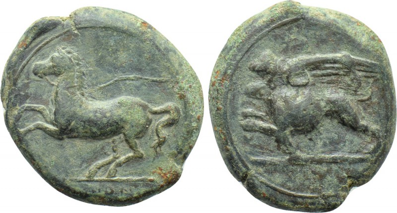 SICILY. Syracuse. Dionysios II (367-357 BC). Ae Tetras(?). 

Obv: Griffin spri...