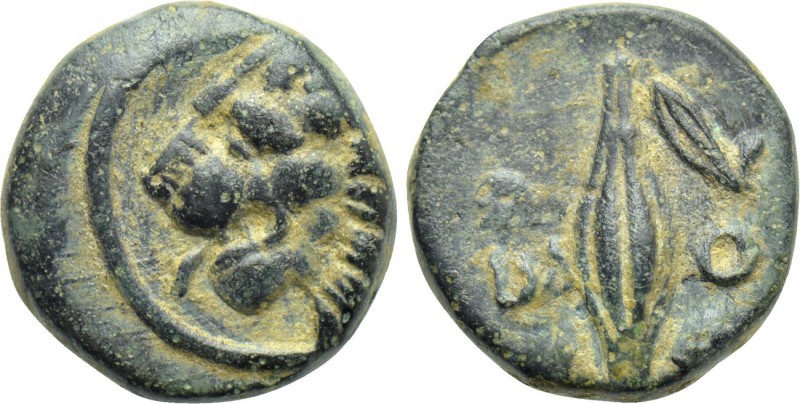 THRACE. Chersonesos. Ae (Circa 386-309 BC). 

Obv: Head of lion left.
Rev: XE...