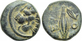 THRACE. Chersonesos. Ae (Circa 386-309 BC).