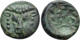 PHOKIS. Phokian League. Ae (Circa 347-346 BC).