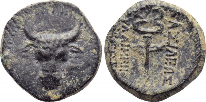 KINGS OF PAPHLAGONIA. Pylaimenes II. / III. Euergetes (Circa 133-103 BC). Ae. 
...