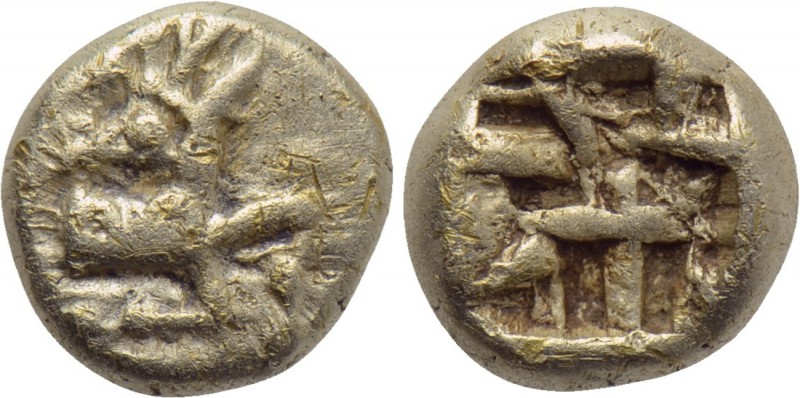 IONIA. Ephesos. Phanes (Circa 625-600 BC). EL 1/24 Stater. 

Obv: Forepart of ...