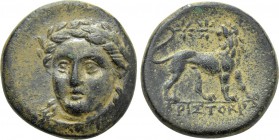 IONIA. Miletos. Ae (Circa 259-246 BC). Aristokrates, magistrate.