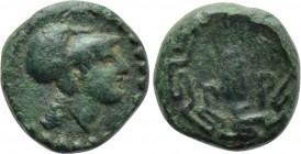 IONIA. Priene. Ae (4th-3rd century BC).