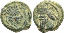 KINGS OF PARTHIA. Vologases IV (Circa 147-191). Ae Dichalkon. Seleukeia. Uncertain SE date.