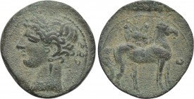 CARTHAGE. First Punic War. BI 2 Shekels (Circa 264-241 BC).