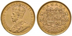 CANADA George V (1910-1936) 5 Dollari 1912 - KM 26 AU (g 8,35) Minimi colpetti al bordo
BB/SPL