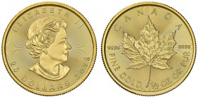 CANADA 20 Dollars 2019 Maple Leaf - AU (g 15,63)
FS