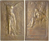 FRANCIA Placchetta Ass. Generale dei disabili di guerra - Opus: Blin - AE (g 77,59 - 70 x 40 mm)
SPL