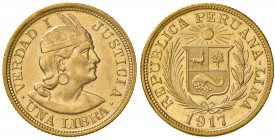 PERU Libra 1917 - KM 207 AU (g 8,01)
FDC