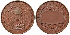 CUNEO Medaglia 1895 Esposizione cuneese - AE (g 64,35 - Ø 50 mm)
qSPL