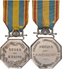 Premio - Raccolta Daugnon - Onore al merito - Collegio Internazionale Scienze Lettere Arti Bronzo dorato - 35,3 mm - 24,10 gr. - R4.
SPL+