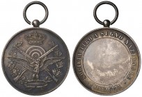 Medaglia di Società di tiro a segno nazionale - MISSAGLIA - AG (g 11,94 - Ø 31 mm)
FDC