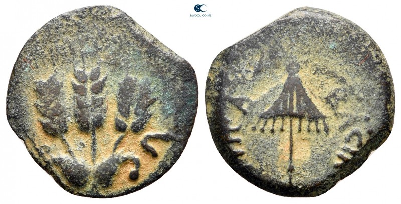 Judaea. Jerusalem. Agrippa I CE 37-43.
Prutah Æ

18 mm, 2,46 g

Three grain...