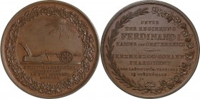Austria. Bronze. ND(1840). UNC. NGC MS63BN. 10th Anniversary of Agricultural Association of Styria Bronze Medal. 57.00mm. NGC Label error (Australia →...