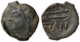 GRECHE - CHERSONESUS - Pantikapaion - AE 13 - Testa maschile a d. /R Arco e faretra S. Cop. 62/64; Sear 1707 (AE g. 2,09)

qBB/BB