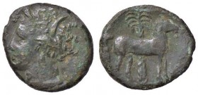 GRECHE - ZEUGITANA - Cartagine - AE 16 - Testa a s. /R Cavallo stante a d., dietro, palmizio Sear 6444 (AE g. 2,69)

BB+