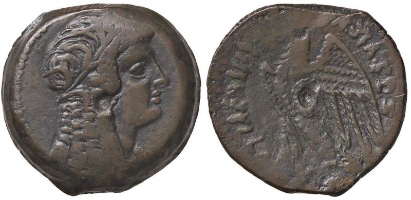 GRECHE - RE TOLEMAICI - Tolomeo VI, Filometore (180-145 a.C.) - AE 28 - Testa di...