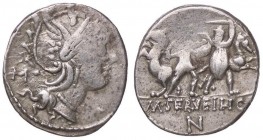 ROMANE REPUBBLICANE - SERVILIA - M. Servilius C. f. (100 a.C.) - Denario - Testa di Roma a d. /R Due cavalieri combattono a piedi B. 13; Cr. 327/1 (AG...