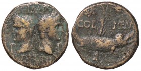 ROMANE PROVINCIALI - Agrippa e Augusto - Dupondio (Nimes) - Testa di Augusto e Agrippa contrapposte /R Coccodrillo a d. incatenato a una palma ornata ...