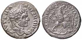 ROMANE PROVINCIALI - Caracalla (198-217) - Tetradracma (Antiochia) - Testa laureata a d. /R Aquila stante con testa a d. e corona nel becco, tra gli a...