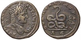 ROMANE PROVINCIALI - Caracalla (198-217) - AE 31 (Pautalia) - Busto laureato a d. /R Serpente con coda biforcuta arrotolato a s. Varb. 5197 (AE g. 16,...