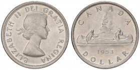 ESTERE - CANADA - Elisabetta II (1952) - Dollaro 1953 Kr. 54 AG Colpetto

Colpetto

SPL+