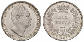 ESTERE - GRAN BRETAGNA - Guglielmo IV (1830-1837) - 6 Pence 1831 Kr. 712 AG Ottimo esemplare, con i fondi brillanti

Ottimo esemplare, con i fondi b...