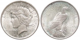 ESTERE - U.S.A. - Dollaro 1923 - Pace Kr. 150 AG

SPL-FDC