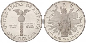 ESTERE - U.S.A. - Dollaro 1989 S Kr. 225 AG

FS