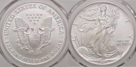 ESTERE - U.S.A. - Dollaro 1995 - American Eagle Kr. 273 AG Sigillata PCGS MS67

Sigillata PCGS MS67

FDC