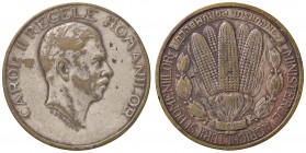 MEDAGLIE ESTERE - ROMANIA - Carlo II (1930-1940) - Medaglia 1939 - Ministero dell'agricoltura MB Ø 36

BB