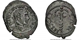 BITHYNIA. Nicaea. Elagabalus (AD 218-222). AE (28mm, 1h). NGC XF. ΑΥΡ ΑΝΤΩΝΙΝΟϹ ΑΥΓ, laureate head of Severus Alexander right / ΝΙΚΑΙΕΩΝ, serpent coil...