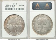 Central American Republic 8 Reales 1824 NG-M XF45 ANACS, Nueva Guatemala mint, KM4. Lavender-gray and gold toned with scratch on each side. 

HID098...