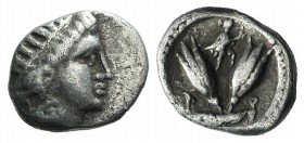 Islands of Caria, Rhodos. Rhodes, c. 275-250 BC. AR Diobol (10mm, 0.89g). Radiate head of Helios r. R/ Two rose buds; above, Phrygian helmet. SNG Cope...