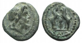 Pisidia, Sagalassos, 1st century BC. Æ (13mm, 2.26g, 12h). Laureate head of Zeus r. R/ Two confronted ibexes; cornucopia between. SNG BnF 1735. Green ...