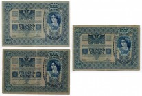 Austria 3 x 1000 Kronen 1902
P# 8a