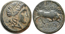 SELEUKID KINGDOM. Seleukos I Nikator (312-281 BC). Ae (280s BC). Seleucia II