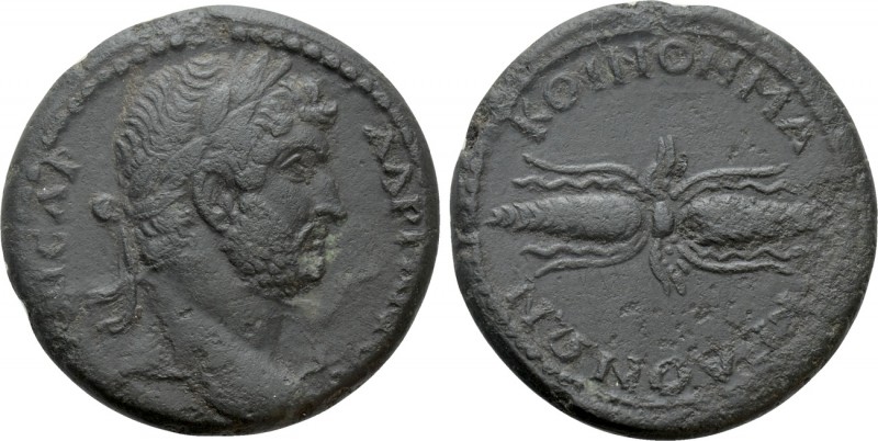 MACEDON. Koinon of Macedon. Hadrian (117-138). Ae. 

Obv: ΑΔΡΙΑΝΟС ΚΑΙСΑΡ. 
L...
