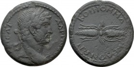 MACEDON. Koinon of Macedon. Hadrian (117-138). Ae
