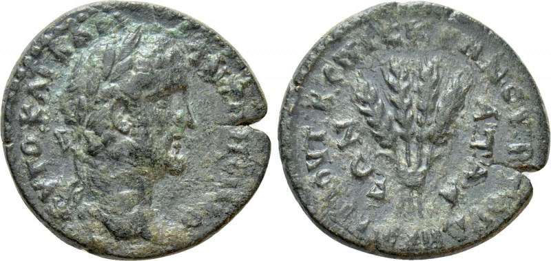 PHRYGIA. Apameia. Antoninus Pius (138-161). Ae. Scymnus II Demetrius, magistrate...